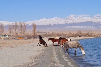 и теплом, и прохладой порадует погода центральную азию в четверг, 27 ноября 2025 года