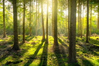 в казахстане вернули государству земли болата назарбаева
