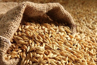 казахстан продлил запрет на ввоз пшеницы автомобильным транспортом