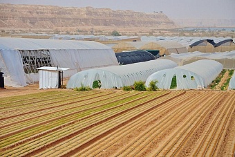 Израиль знает, чем помочь Казахстану: пробирки, капельное орошение и деньги частного бизнеса