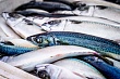 киргизия поставляла в россию некачественную рыбу