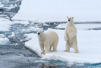 Арктика в эпоху многополярности: безопасность, технологии и международное сотрудничество на ВЭФ-2025