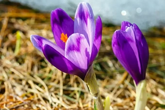 в ожидании скорого тепла: погода в казахстане во вторник, 2 апреля 2024