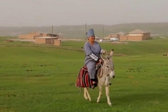 власти узбекистана  вручили орден медсестре, которая ездит на вызовы к пациентам на осле