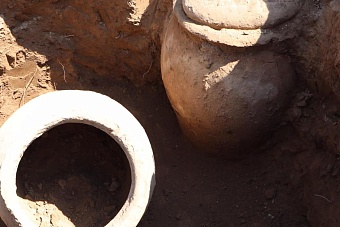 рыл канаву — нашёл кувшин: в узбекистане фермер нашел на своем участке изделия viii века