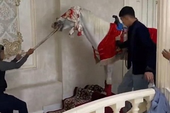 издевательства над лошадью во время свадьбы возмутили жителей центральной азии (видео)