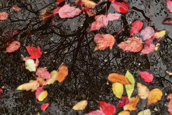 местами дожди в узбекистане, в долинах кыргызстана без осадков: погода в четверг, 10 октября 2024