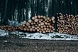 в казахстане продлят запрет на вывоз лесоматериалов