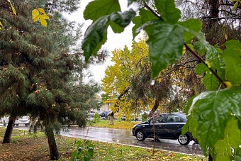 дожди и похолодание в узбекистане, снег и туман в кыргызстане: погода в среду, 13 ноября 2024