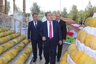 Россия будет развивать в Таджикистане сельское хозяйство, а для трудовых мигрантов появится специальное мобильное приложение