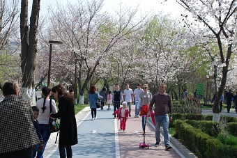 какая погода ожидается в центральной азии во вторник, 1 апреля 2025