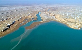  казахстане найден инновационный способ спасения аральского моря
