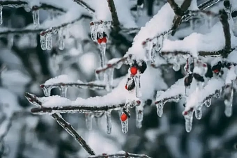 град и ливень: погода в казахстане в среду, 10 апреля 2024