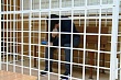 Воевать, но не за Россию: участников СВО из Центральной Азии дома ждет тюрьма