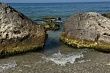 океанологи зафиксировали ускоренный прирост береговой линии каспия
