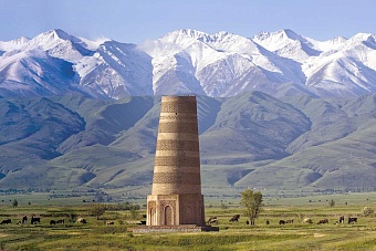 ленинградская и чуйская область кыргызстана будут реализовать совместные проекты в апк, сфере туризма и проышленности