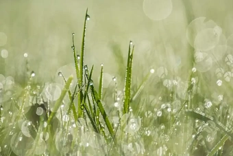 непогода разбушуется в казахстане: прогноз на воскресенье, 24 марта 2024