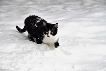 какой будет погода в центральной азии во вторник, 10 декабря 2024