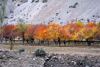 погода, в странах центральной азии, 3 ноября 2023 года: в ашхабаде +24, в бишкеке +15