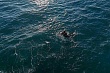 в казахстане утвердили создание нии каспийского моря