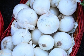 лук под угрозой: резкое похолодание в центральной азии может привести к скачку цен и потере качества