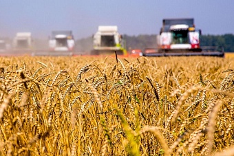как в казахстане получить компенсацию за погибших во время паводка животных 2024 (куда обращаться)