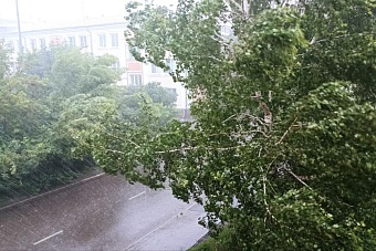 в бишкеке из-за шквалистого ветра на подростка упала часть крыши, в некоторых районах города нет электричества