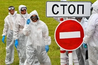 массовое заражение сибирской язвой произошло в казахстане