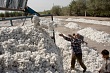 таджикистан и рф запустят масштабный хлопковый кластер на $150 млн