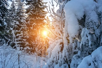 какой будет погода в центральной азии во вторник, 3 декабря 2024