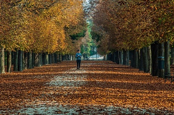 прохладно и сыро будет в казахстане в среду, 29 октября 2025 года