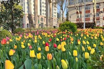 дожди уступают место теплу: погода в странах центральной азии в среду, 17 апреля 2024