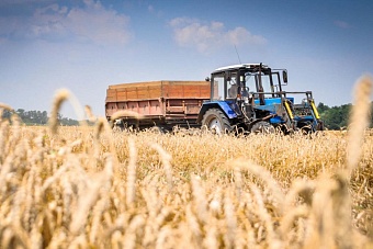 еаэс за 10 лет на 25% нарастил производство сельхозпродукции