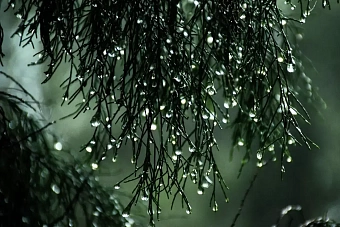 до +38 градусов и кратковременные дожди в кыргызстане: погода на предстоящую неделю, 24 и 30 июня 2024 