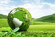 ESG убивает: как «зеленая» повестка уничтожает промышленность и людей