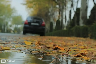 до +18 в узбекистане, дожди и снег в кыргызстане: погода в четверг, 21 ноября 2024