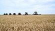 казахстан стал ключевым партнером ирана в аграрном секторе