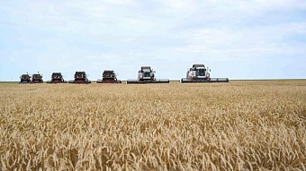 казахстан стал ключевым партнером ирана в аграрном секторе