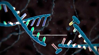 у жителей узбекистана обнаружены десятки генных мутаций из-за родственных браков