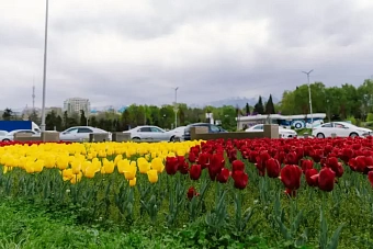 дождь и порывистый ветер: погода в казахстане в четверг, 30 мая 2024