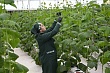 климатические вызовы и продовольственная безопасность: в душанбе обсудили угрозы для агрокомплекса центральной азии