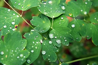 опасность подтоплений: погода в странах центральной азии в воскресенье, 7 апреля 2024