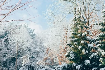 тепло на подходе: какую погоду ожидают в казахстане 5 марта 2024