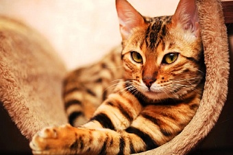 дожди и до +25 ожидают в казахстане в пятницу, 29 августа 2025 года