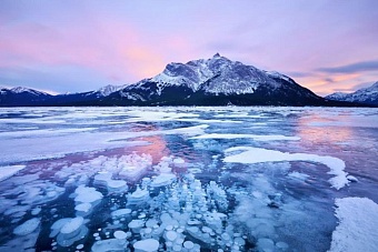 За счет кого и чего ШОС собирается напоить водой страны Центральной Азии?