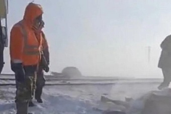 в казахстане 11 лошадей погибли под колесами поезда