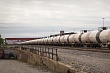 компания «узбекнефтегаз» опровергла информацию о поставке в афганистан партии нефти низкого качества