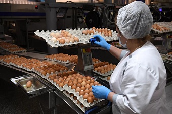 рост производства яиц в кыргызстане в два раза превысил показатели еаэс