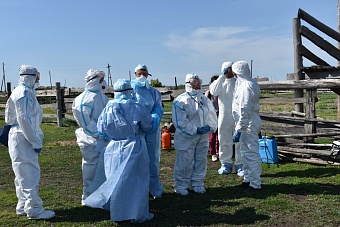 в казахстане зарегистрировано четыре случая сибирской язвы среди людей