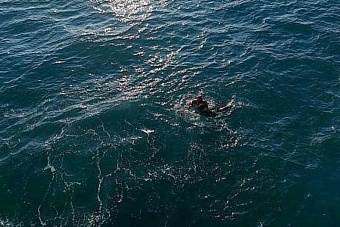 казахстанские водолазы спасли женщину в каспийском море